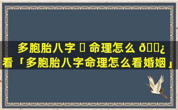 多胞胎八字 ☘ 命理怎么 🌿 看「多胞胎八字命理怎么看婚姻」